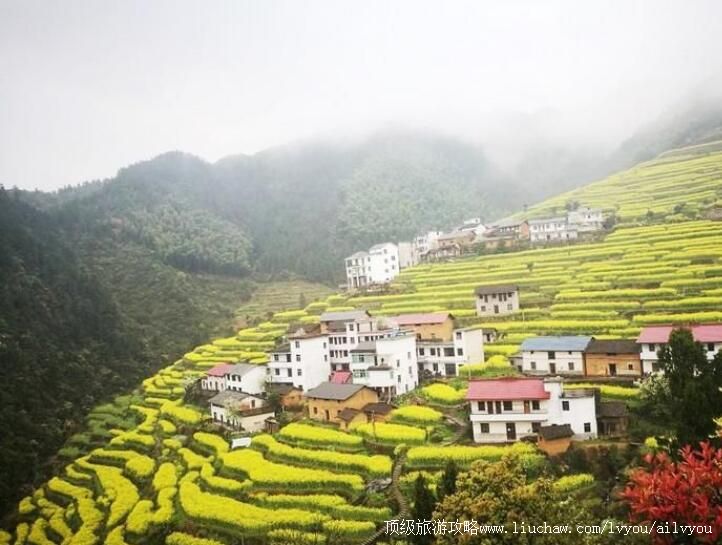 4A�����߲ʳ��羰�����ι���