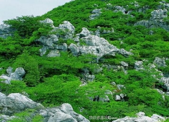 4A��ɽ����ʯ�����ι���