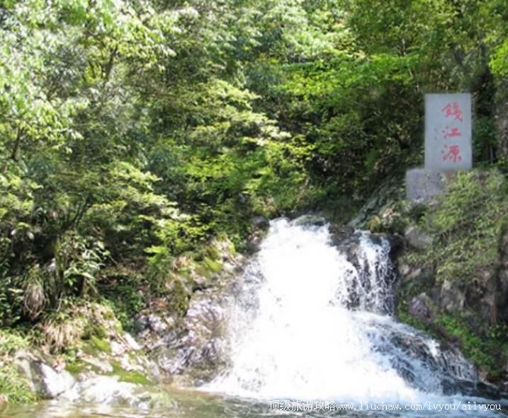 3AǮ��Դ����ɭ�ֹ�԰���ι���