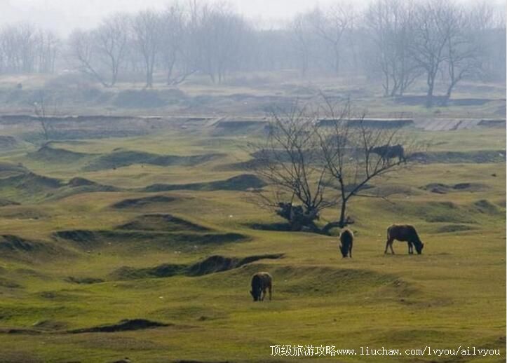 2A浙西大草原古名酒文化村旅游攻略
