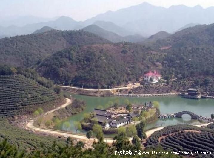 2A��ɽ��������԰���ι���