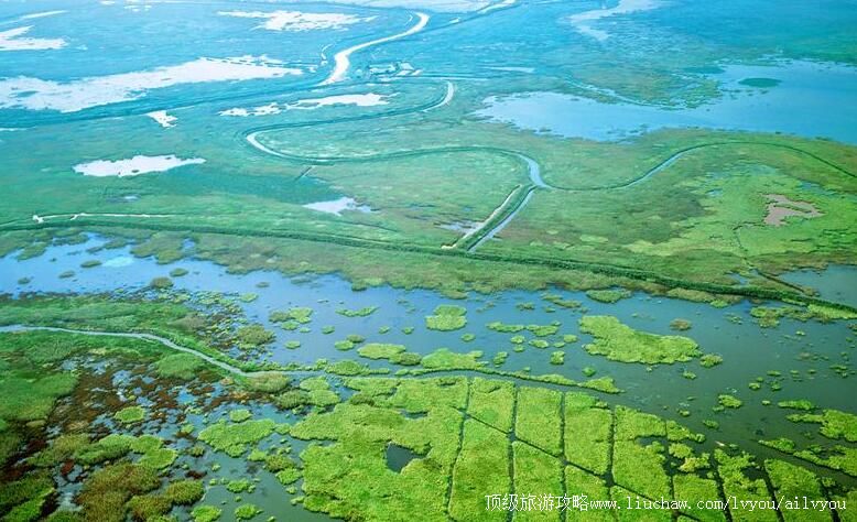 ����۶�������ι���