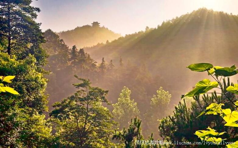 ���������Ʊ̷����ɭ�ֹ�԰���ι���