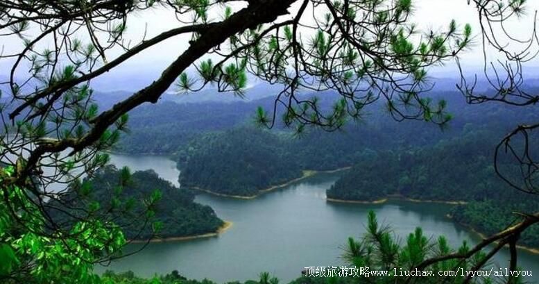 4A����������Ů�����ι���