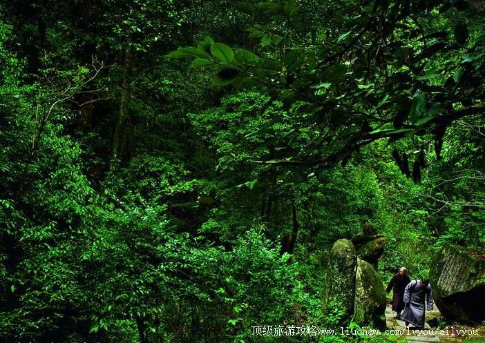 2A�����˷ᶴɽ�羰��ʤ�����ι���