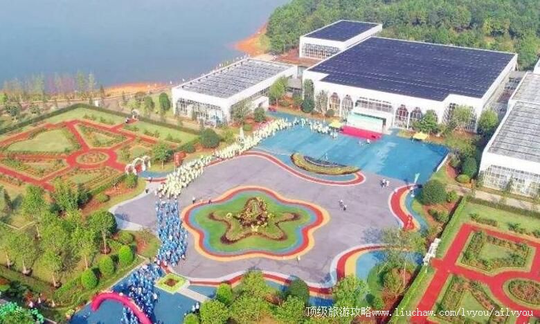 4A江西丰城爱情花卉小镇旅游攻略