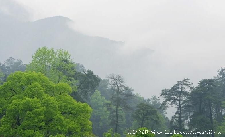 4A江西阁皂山旅游攻略