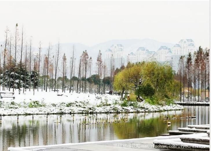 ̨�ݻ���������԰���ι���