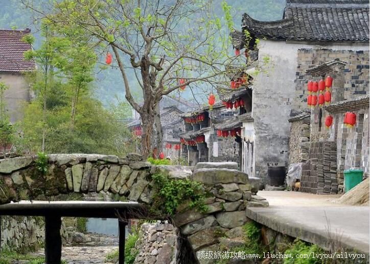 ���Ŷ����Ŵ����ι���