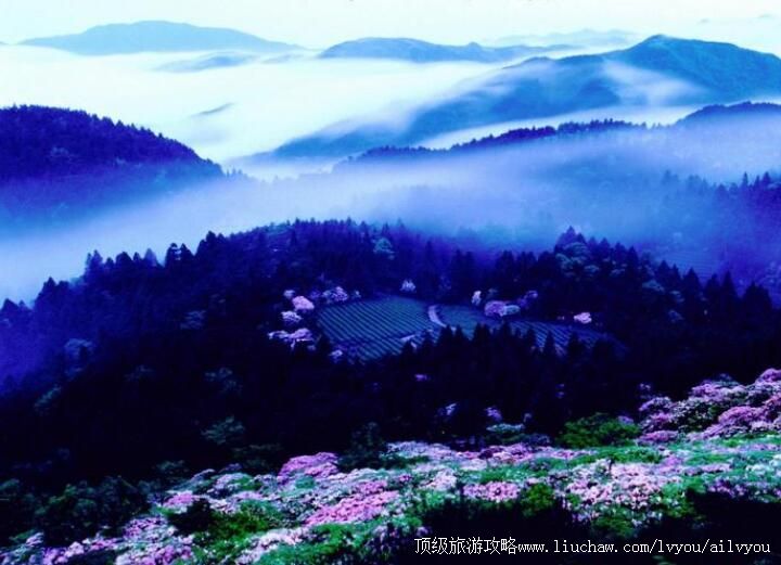 4A�㽭��̨ɽ���η羰�����ι���