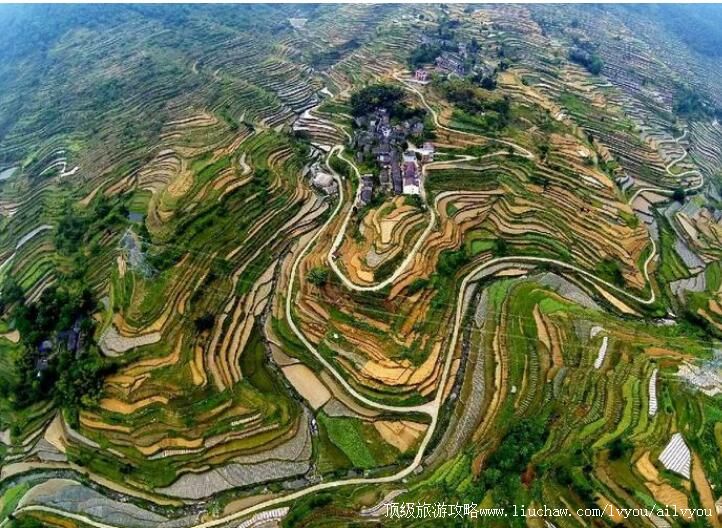 4A��̨�������ξ������ι���