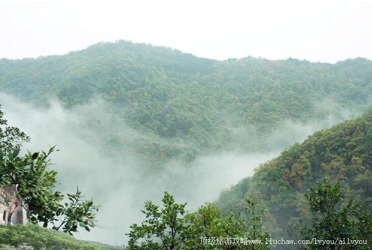 3A������ƽ����ɽɭ�ֹ�԰