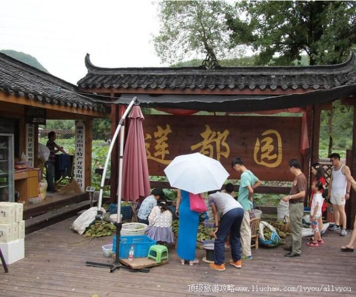 ��ˮ���ݰ�������԰���ι���