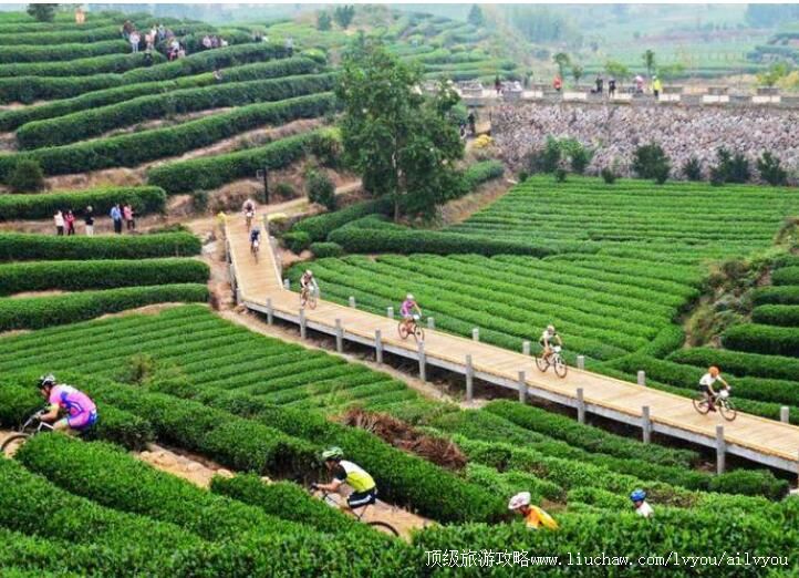 4A������ľɽ���в�԰���ι���