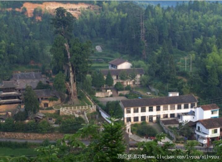 4A��ˮ���д�T�������ι���