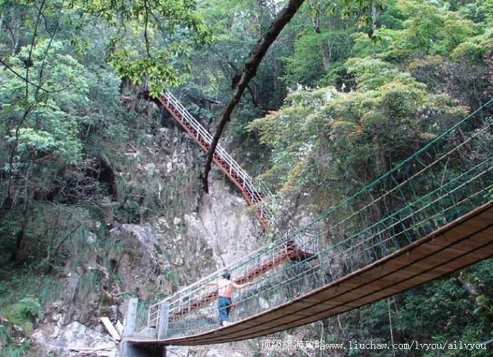 3A��Ԫ���ӷ�ɭ�ֹ�԰���ι���