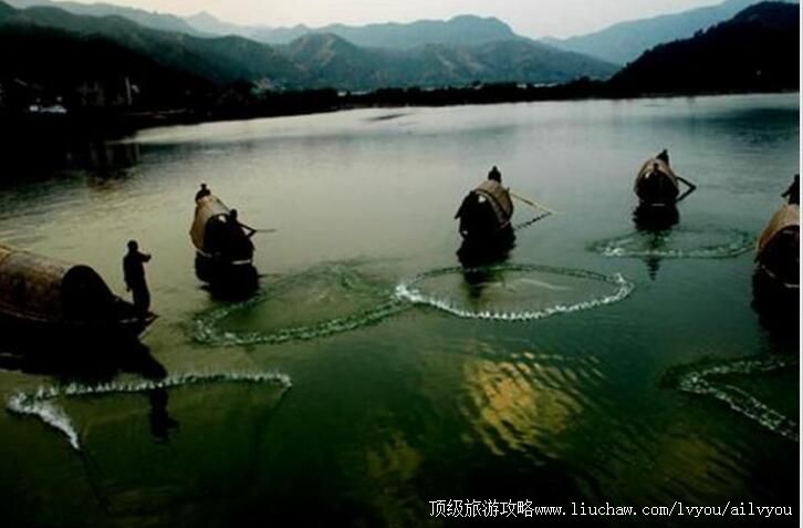 2A�ƺͽ�������������ι���