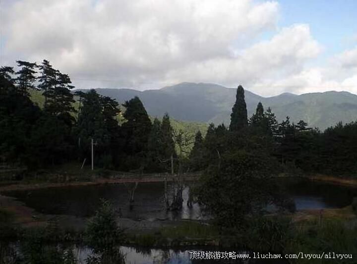 2A����������ɭ�ֹ�԰���ι���