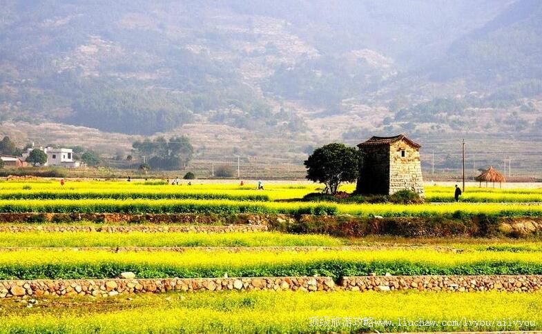 ������̩��ɽ�ؾ������ι���