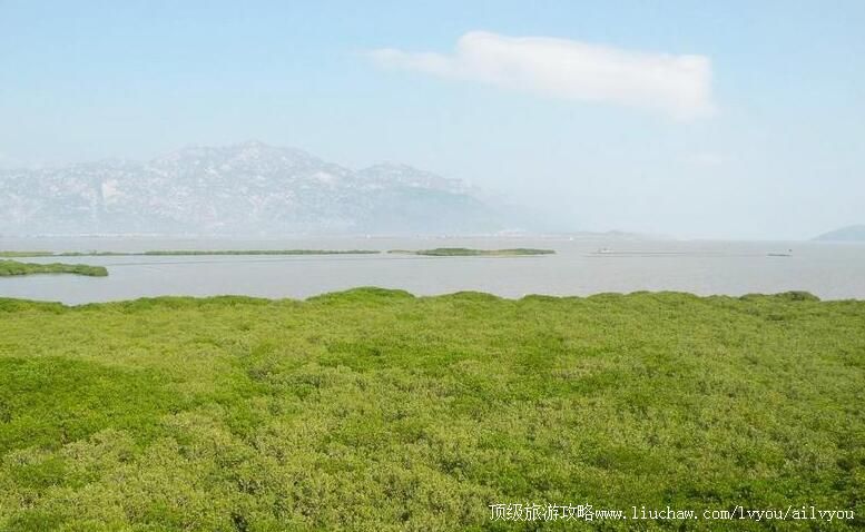 �����Ľ��ں����ֹ��Ҽ���Ȼ���������ι���