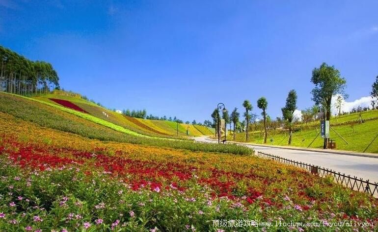 4A������̩ʮ����ɽ���ι���