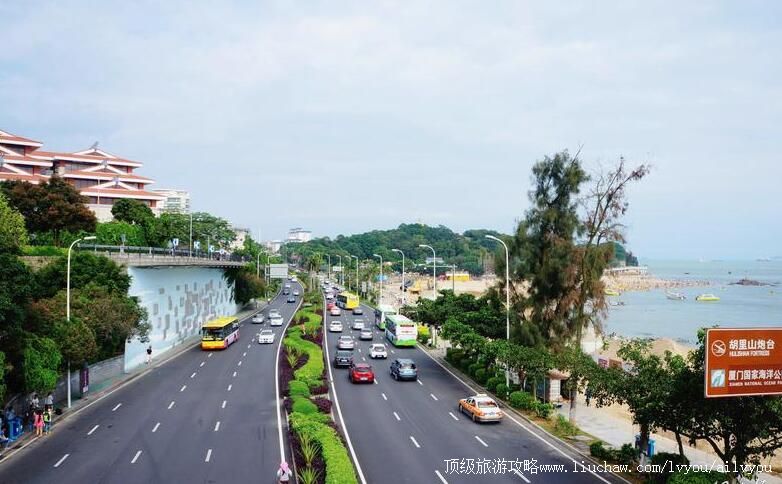 �������Ż���·���ι���