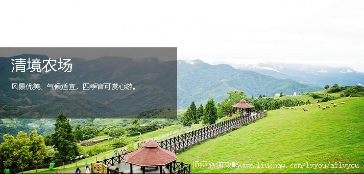 ̨�� ��Ͷ �������棺2��