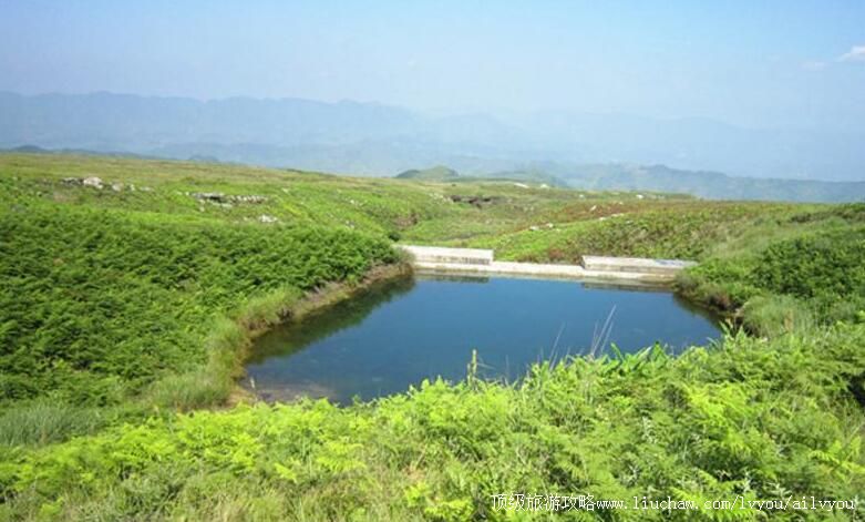 ������¡����ƺ�羰�����ι���