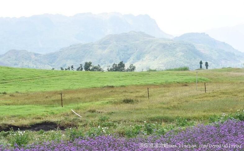 4A贵州黔西南州兴仁放马坪景区旅游攻略