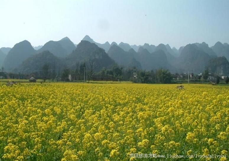 4A贵州兴义万峰林旅游攻略