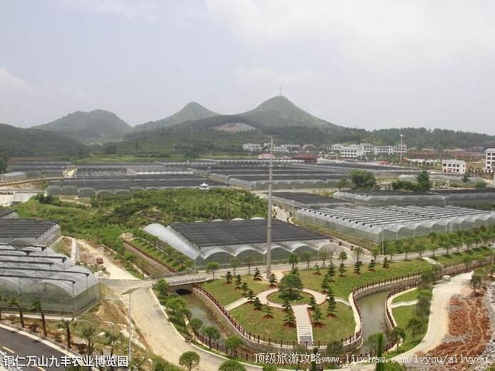 4A����ͭ����ɽ�ŷ�ũҵ����԰���ι���