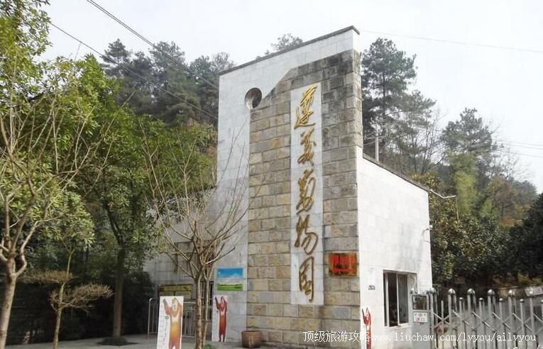 3A�������嶯��԰���ι���