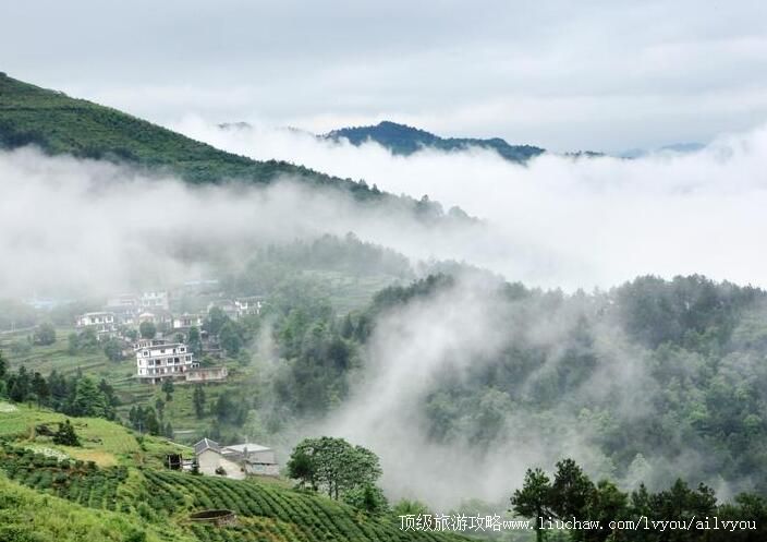 4A贵州遵义凤冈茶海之心景区旅游攻略