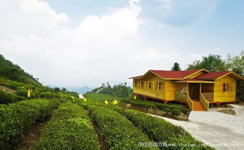 4A贵州遵义湄潭茶海生态园旅游攻略