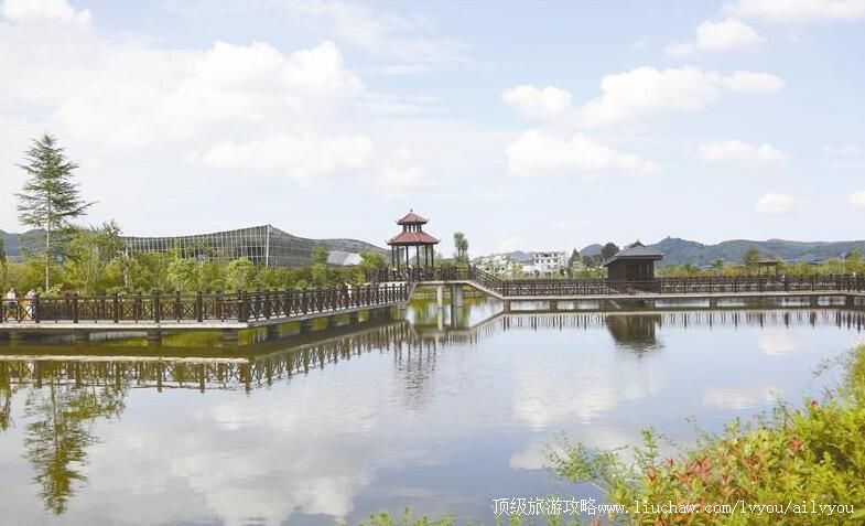 3A���ݱϽ�̩��ũҵ��ֲ̬��۹�԰���ι���