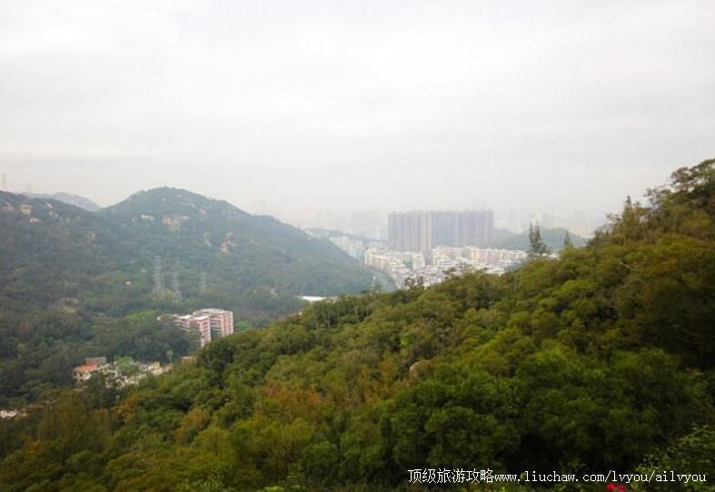 福建厦门东坪山公园旅游攻略