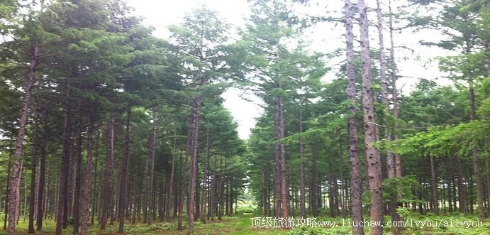 黑龙江 七台河 建议游玩:1天