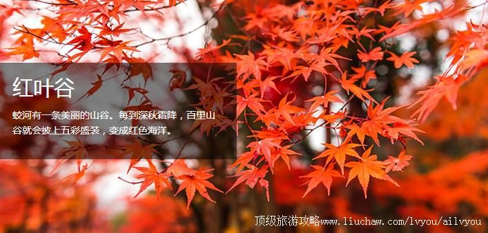 ���� ������ �������棺2��