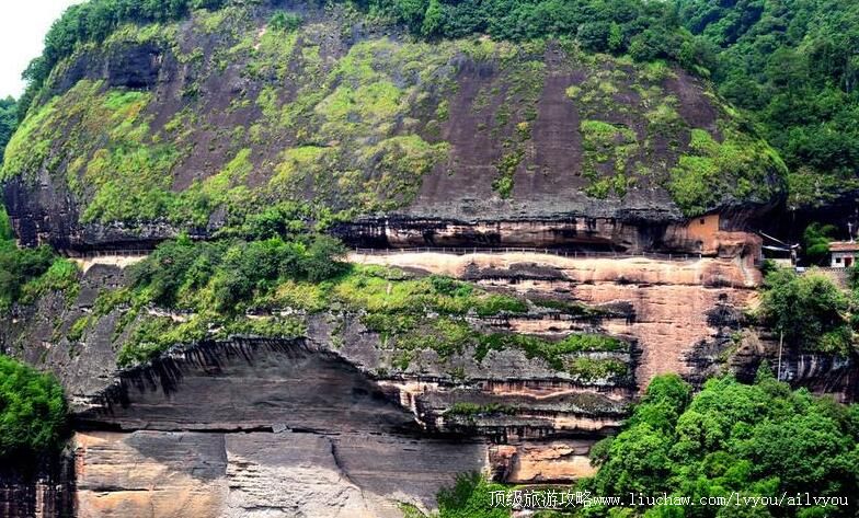 ����̩����������ι���