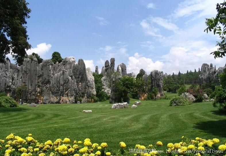 4A������������ʯ�����ι���