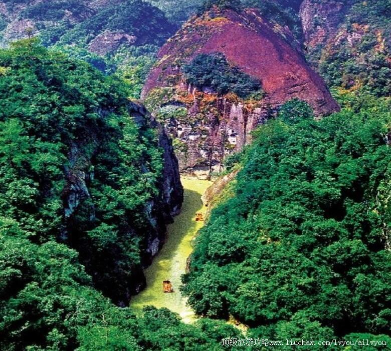 4A�����������������ɭ�ֹ�԰���ι���