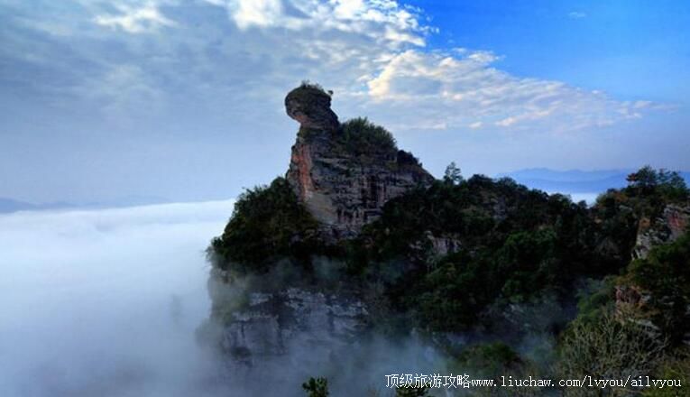 4A����è��ɽɭ�ֹ�԰���ι���