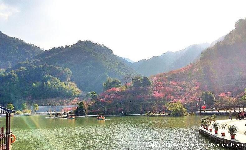 4A����������Ϫ��Է���ι���