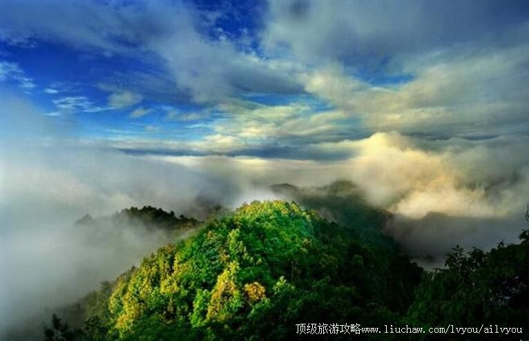 4A����Ȫ������ţķ�����ι���