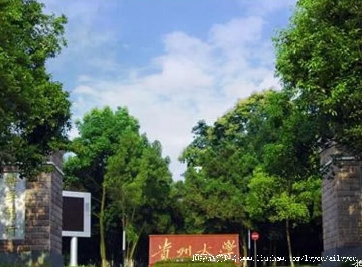 ���ݴ�ѧУ԰������ι���