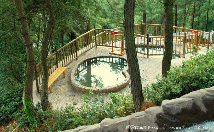 ���ݹ�������ɭ����Ȫ���ι���