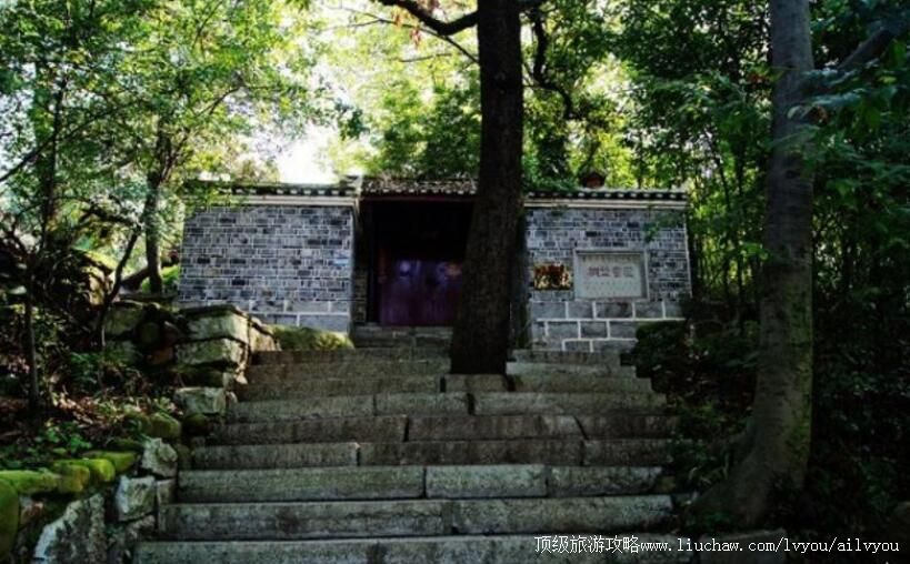 ���ݹ���ͩҰ�������ι���