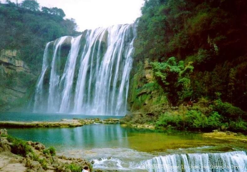 3A���ݹ���ɭ�ֹ�԰���ι���