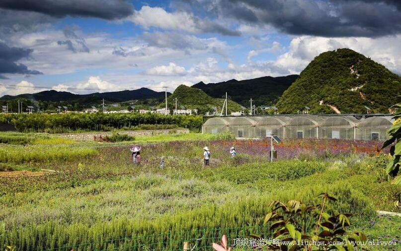 4A���ݹ��������ɽ硤��������ũҵ���ξ������ι���