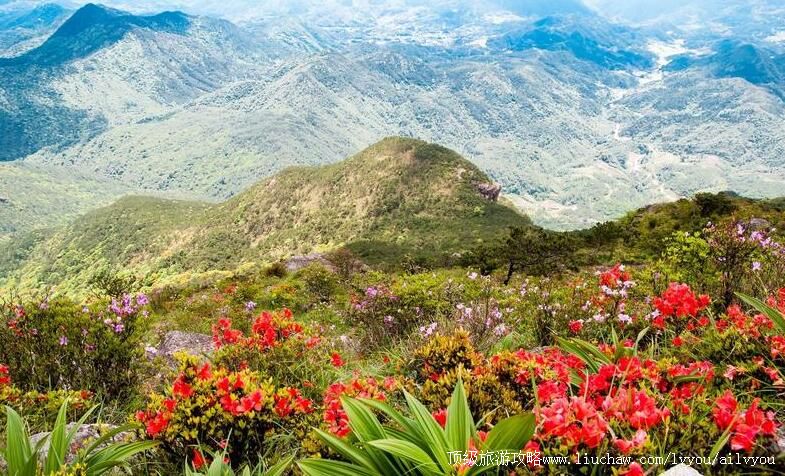 4A����Ȫ�ݴ���ɽ���ι���